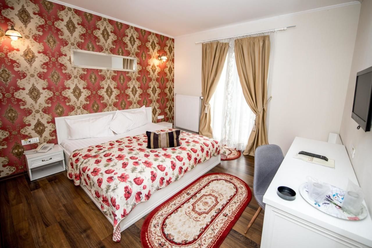 Отель Hotel Ramina Тимишоара