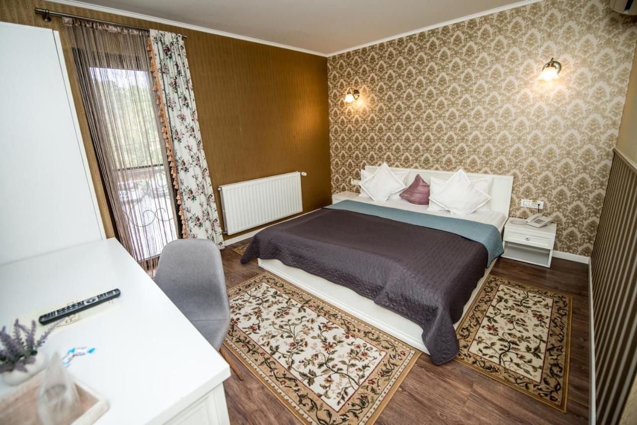 Отель Hotel Ramina Тимишоара-25