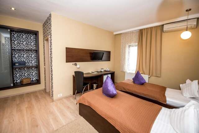 Отель Hotel Ramina Тимишоара-21