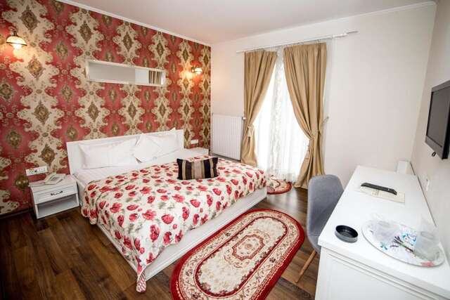 Отель Hotel Ramina Тимишоара-23